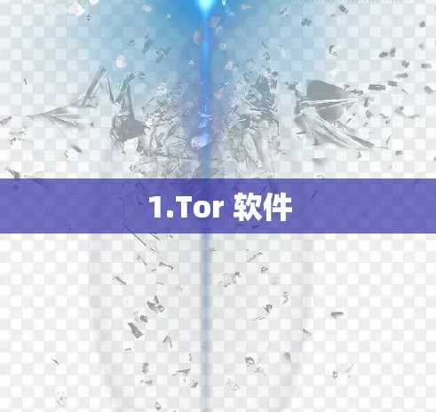 1.Tor 软件