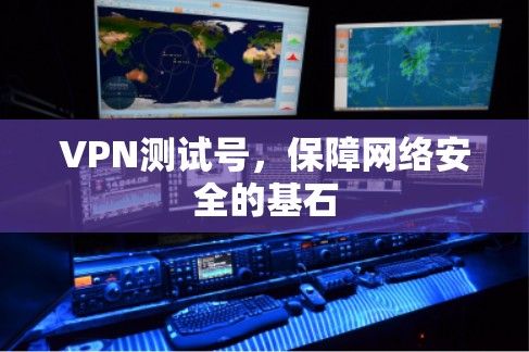 VPN测试号，保障网络安全的基石