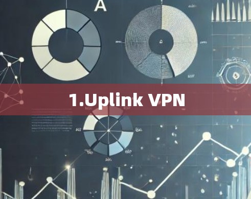 1.Uplink VPN
