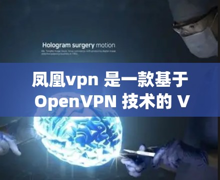 凤凰vpn 是一款基于 OpenVPN 技术的 VPN 服务，提供了一个安全、高效、易用的网络连接工具。以下是关于凤凰vpn的一些关键信息