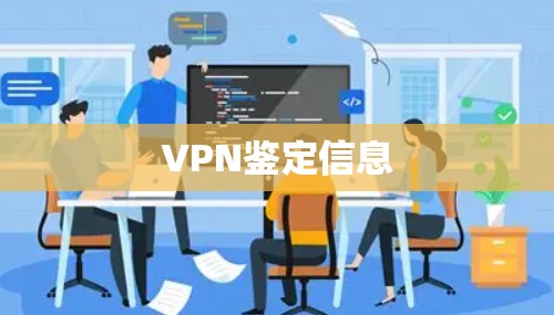 VPN鉴定信息