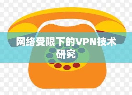 网络受限下的VPN技术研究